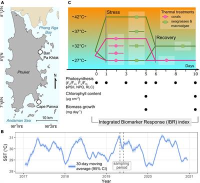 Experimental Assessment of Vulnerability to Warming in Tropical Shallow-Water Marine Organisms